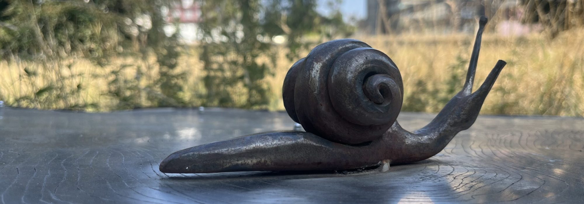snail